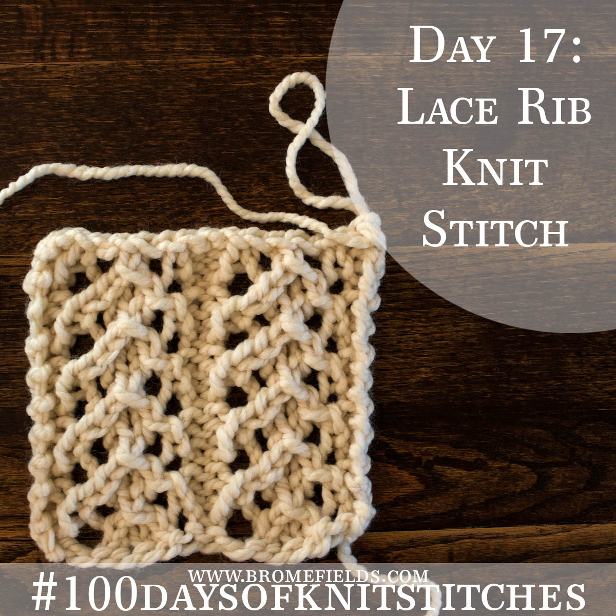 Lace Rib Knitting Stitch Pattern : Brome Fields