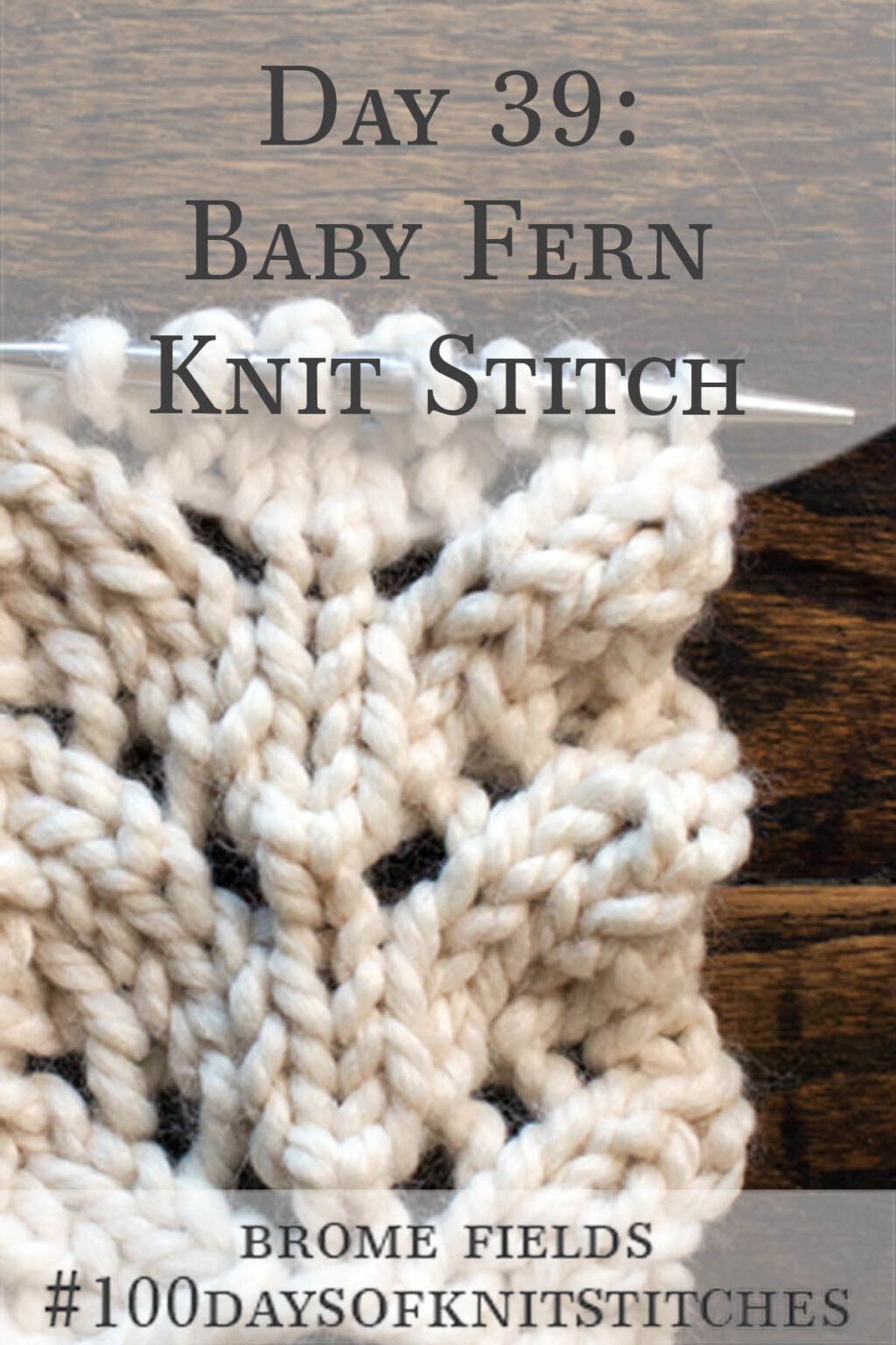 Baby Fern Knitting Stitch Pattern : Brome Fields