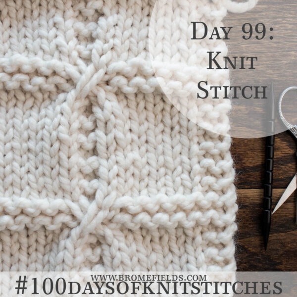 100 Days of Knit Stitches Challenge : Brome Fields