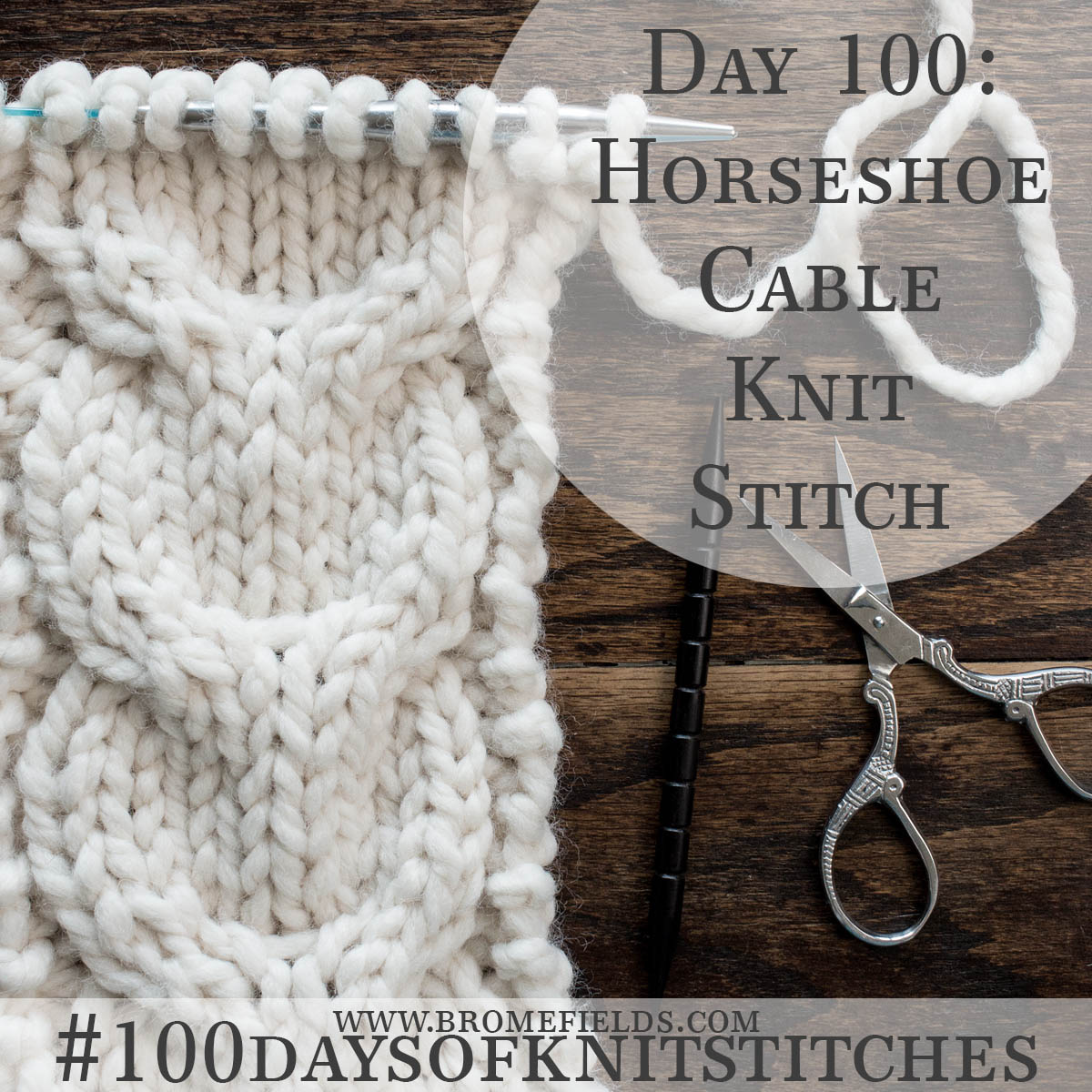 Horseshoe Cable Knitting Stitch Pattern Learn it Here