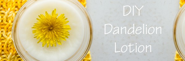 dandelion flower on a candle