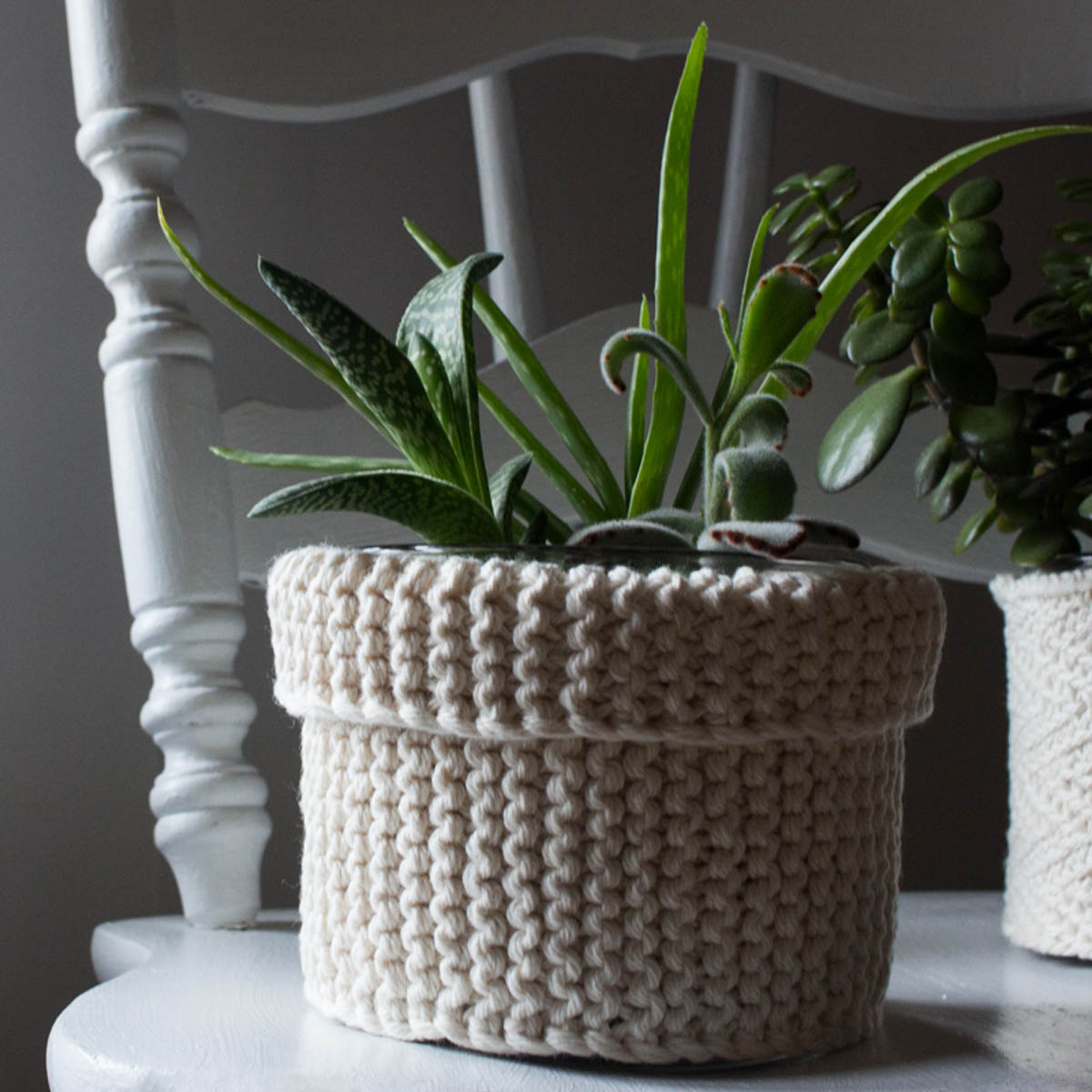 pic of a garter stitch knitted plant cozy